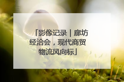 影像记录｜廊坊经洽会，现代商贸物流风向标