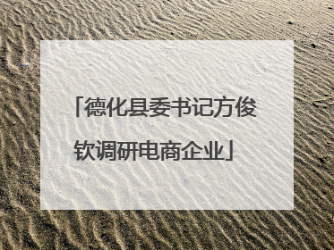 德化县委书记方俊钦调研电商企业