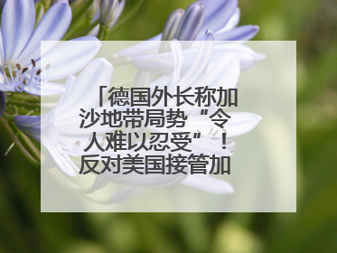 德国外长称加沙地带局势“令人难以忍受”！反对美国接管加沙地带的想法