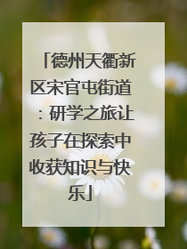 德州天衢新区宋官屯街道：研学之旅让孩子在探索中收获知识与快乐