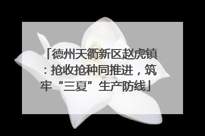 德州天衢新区赵虎镇：抢收抢种同推进，筑牢“三夏”生产防线