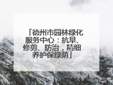 德州市园林绿化服务中心：抗旱、修剪、防治，精细养护保绿荫