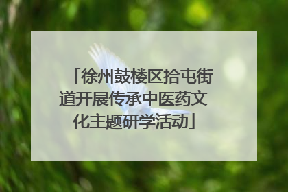 徐州鼓楼区拾屯街道开展传承中医药文化主题研学活动