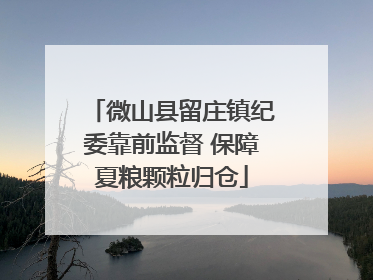微山县留庄镇纪委靠前监督 保障夏粮颗粒归仓
