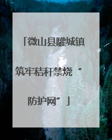 微山县驩城镇筑牢秸秆禁烧“防护网”