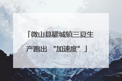 微山县驩城镇三夏生产跑出 “加速度”