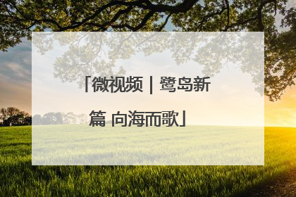 微视频｜鹭岛新篇 向海而歌