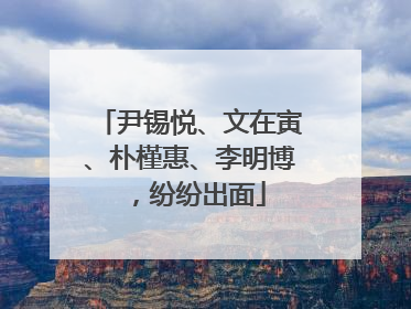 尹锡悦、文在寅、朴槿惠、李明博，纷纷出面