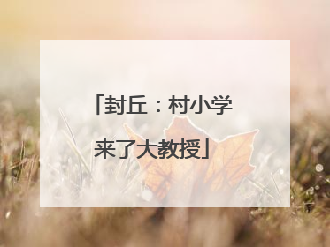 封丘：村小学来了大教授