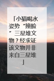 小猫喝水姿势“撞脸”三星堆文物？经求证该文物并非来自三星堆