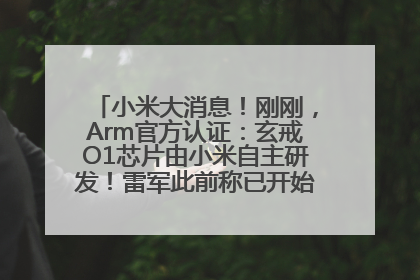 小米大消息！刚刚，Arm官方认证：玄戒O1芯片由小米自主研发！雷军此前称已开始大规模量产