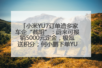 小米YU7订单遭多家车企“截胡”：蔚来可报销5000元定金，极氪送积分；何小鹏下单YU7，喊话雷军早点交付
