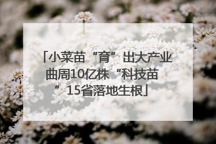 小菜苗“育”出大产业 曲周10亿株“科技苗”15省落地生根