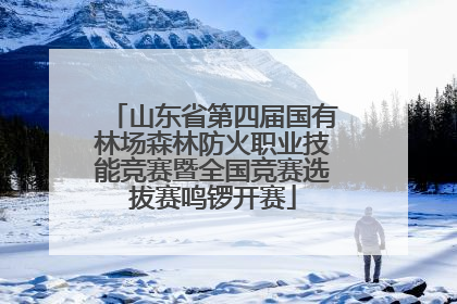 山东省第四届国有林场森林防火职业技能竞赛暨全国竞赛选拔赛鸣锣开赛
