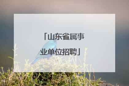 山东省属事业单位招聘
