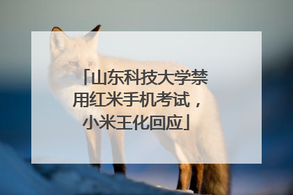 山东科技大学禁用红米手机考试，小米王化回应