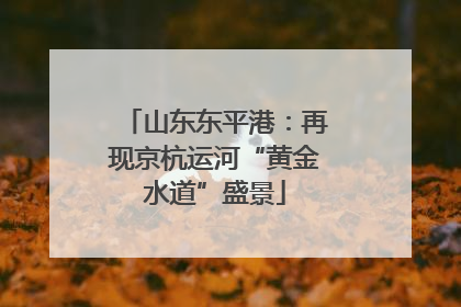 山东东平港：再现京杭运河“黄金水道”盛景