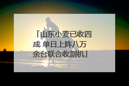 山东小麦已收四成 单日上阵八万余台联合收割机