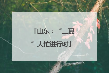 山东：“三夏”大忙进行时