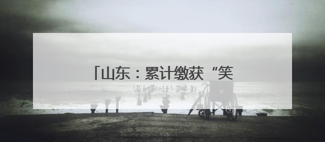 山东：累计缴获“笑气”30余万升 打击治理力度居全国前列