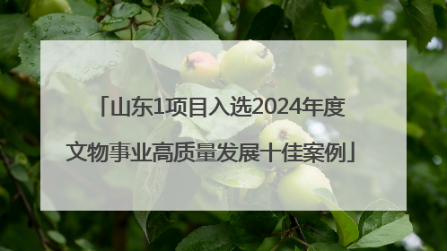 山东1项目入选2024年度文物事业高质量发展十佳案例