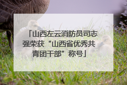 山西左云消防员司志强荣获“山西省优秀共青团干部”称号