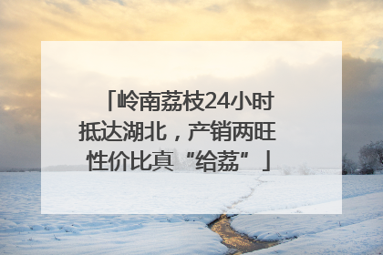岭南荔枝24小时抵达湖北，产销两旺性价比真“给荔”