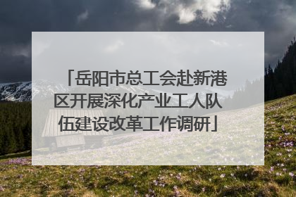 岳阳市总工会赴新港区开展深化产业工人队伍建设改革工作调研