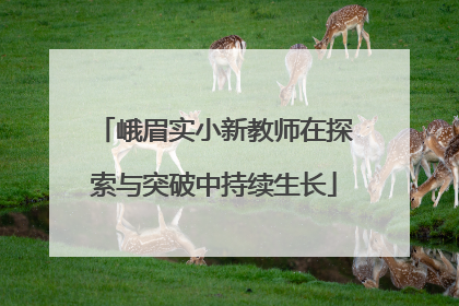 峨眉实小新教师在探索与突破中持续生长