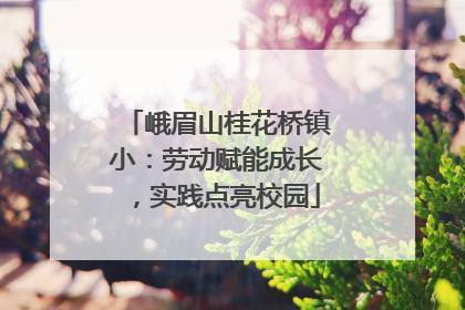 峨眉山桂花桥镇小：劳动赋能成长，实践点亮校园