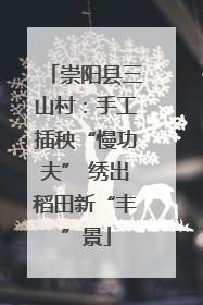 崇阳县三山村：手工插秧“慢功夫” 绣出稻田新“丰”景