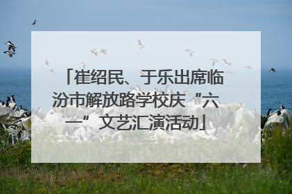 崔绍民、于乐出席临汾市解放路学校庆“六一”文艺汇演活动