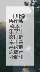 川渝协作新样本！乐至生态白鹅牵手荣昌卤鹅点燃产业新引擎