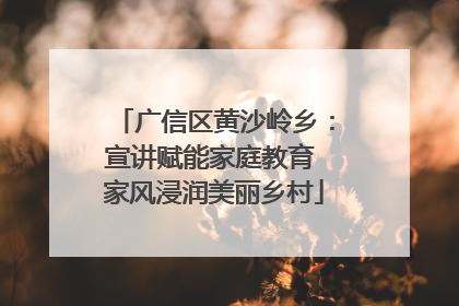 广信区黄沙岭乡：宣讲赋能家庭教育 家风浸润美丽乡村