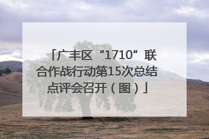 广丰区“1710”联合作战行动第15次总结点评会召开（图）
