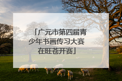 广元市第四届青少年书画传习大赛在旺苍开赛