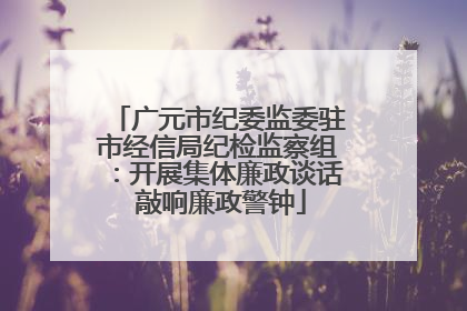 广元市纪委监委驻市经信局纪检监察组：开展集体廉政谈话 敲响廉政警钟