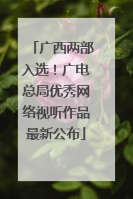 广西两部入选！广电总局优秀网络视听作品最新公布