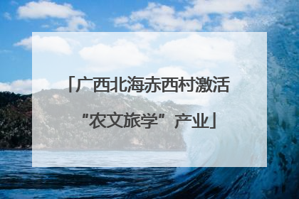 广西北海赤西村激活“农文旅学”产业