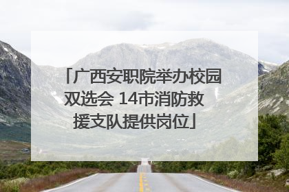 广西安职院举办校园双选会 14市消防救援支队提供岗位