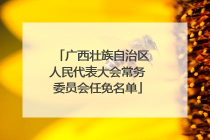 广西壮族自治区人民代表大会常务委员会任免名单
