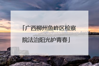 广西柳州鱼峰区检察院法治阳光护青春