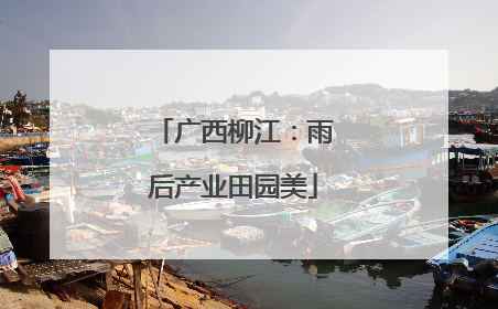 广西柳江：雨后产业田园美