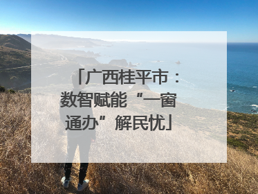 广西桂平市：数智赋能“一窗通办”解民忧