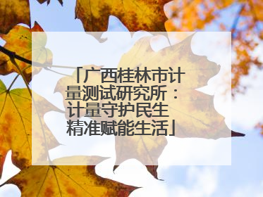 广西桂林市计量测试研究所：计量守护民生 精准赋能生活