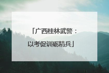 广西桂林武警：以考促训砺精兵