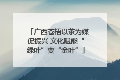 广西苍梧以茶为媒促振兴 文化赋能“绿叶”变“金叶”