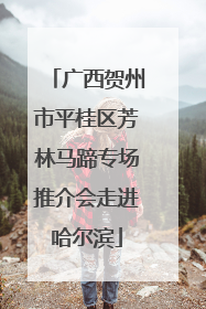 广西贺州市平桂区芳林马蹄专场推介会走进哈尔滨