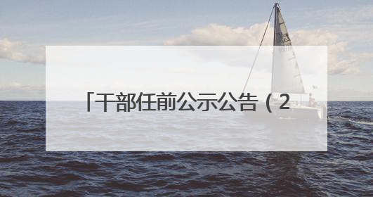 干部任前公示公告（2025年5月30日）