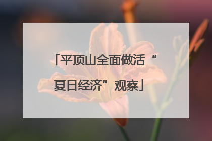 平顶山全面做活“夏日经济”观察